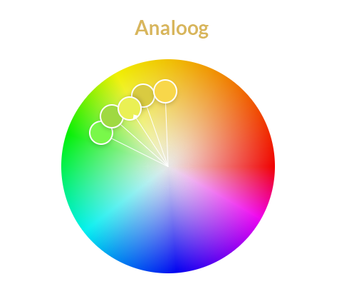 Analoog kleurenwiel | Y.M. Klooster Fotografie